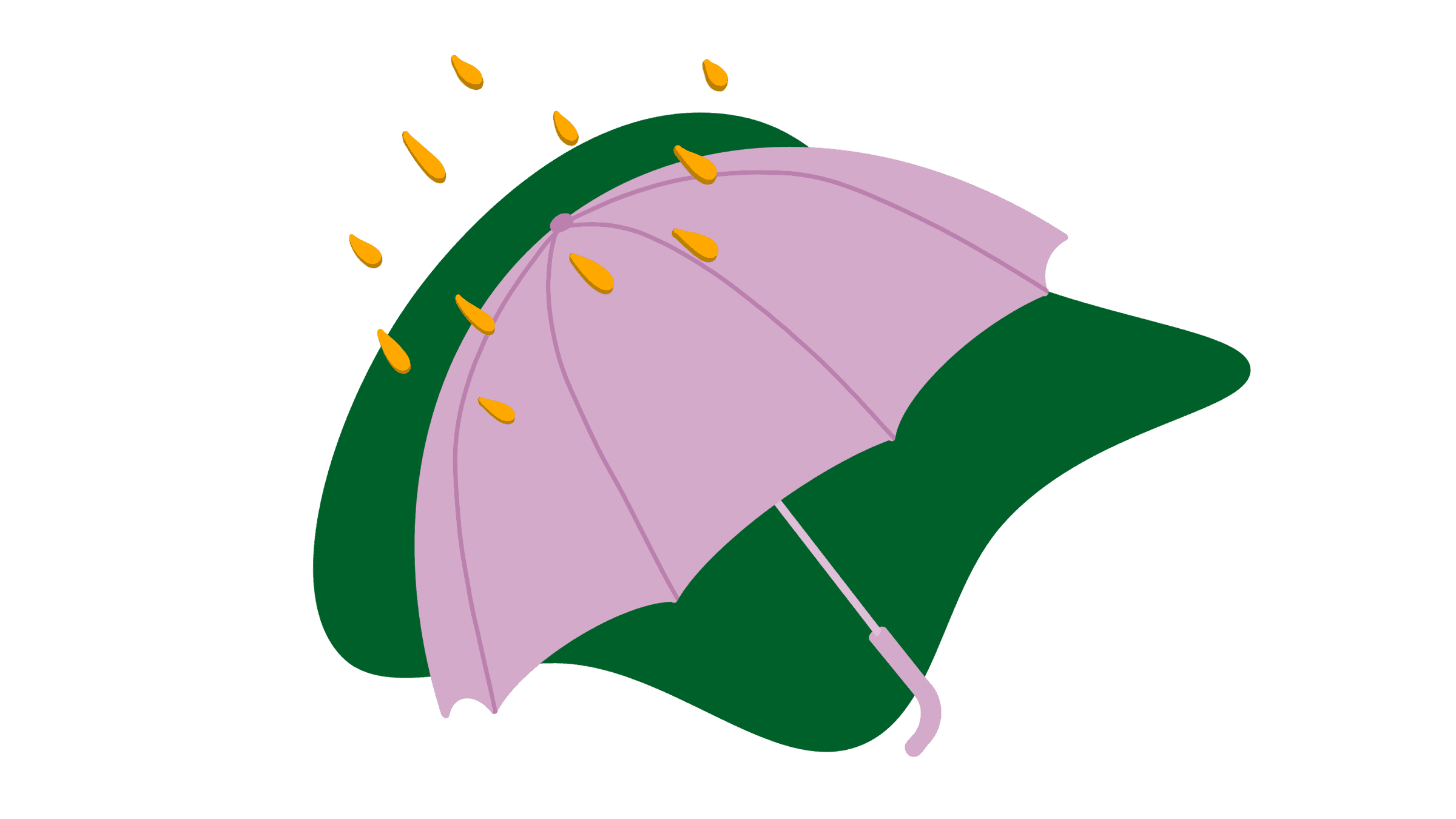 Umbrella Umbrella