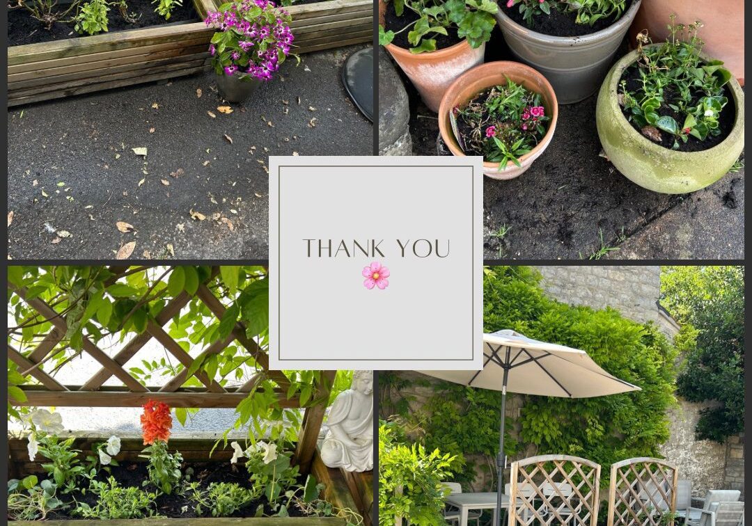 Thank you to Helliers garden centre